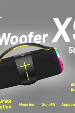 Enceinte portable woofer x9